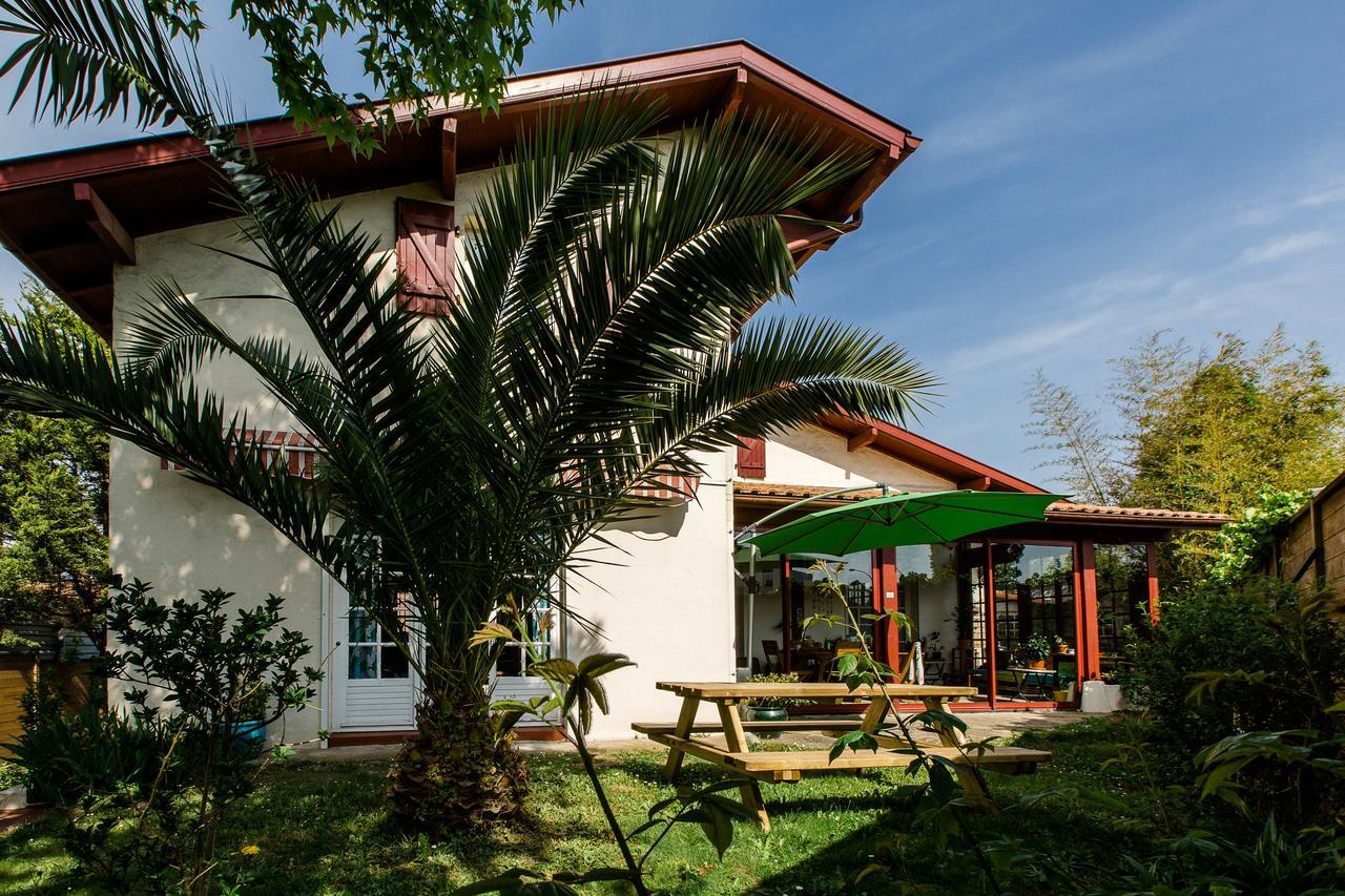 הוסטל אנגלה Nami House מראה חיצוני תמונה